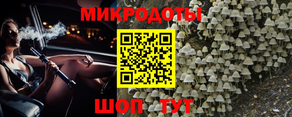 Псилоцибиновые грибы Psilocybe  Гуково 