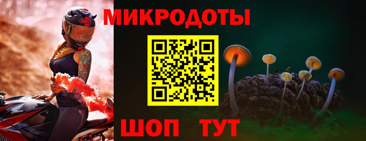 Галлюциногенные грибы Cubensis Гуково
