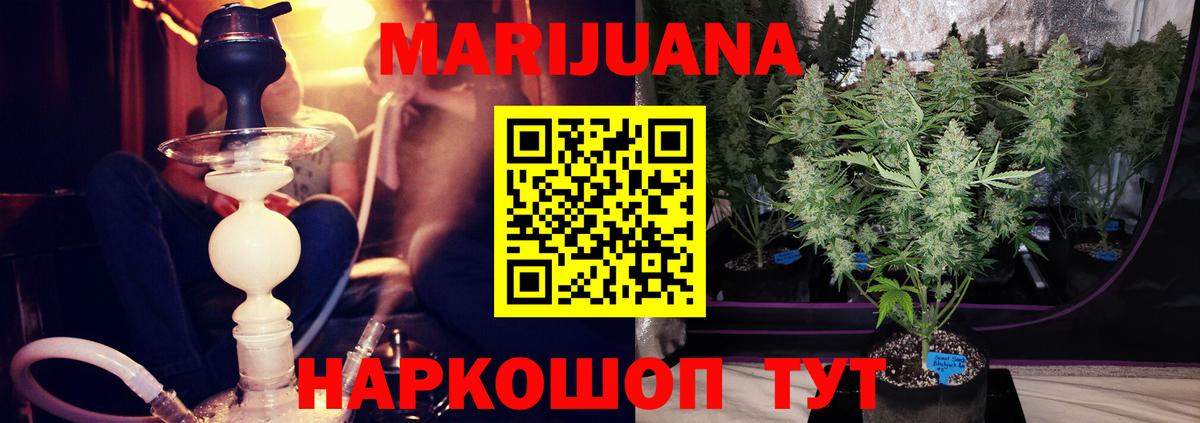 Конопля сатива Гуково